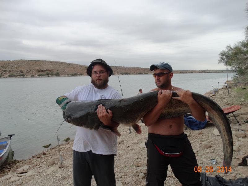 Łowienie sumów nad Ebro