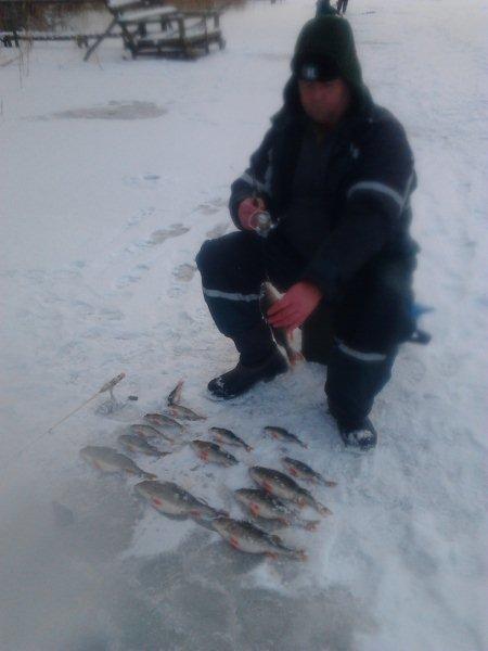 łowienie okoni zimą spod lodu