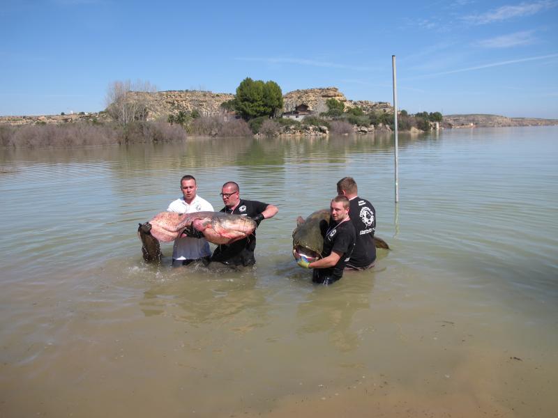 Rzeka Ebro, na sumy do Hiszpanii, Wyjazd grupowy na ryby