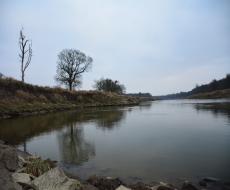 Pysząca - rzeka Odra widok w stronę Brzegu Dolnego